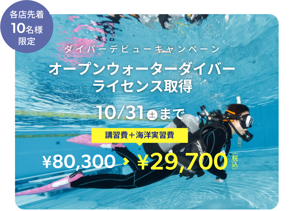 キャンペーン