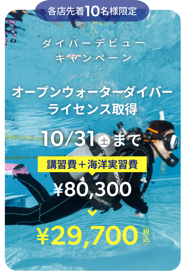 キャンペーン