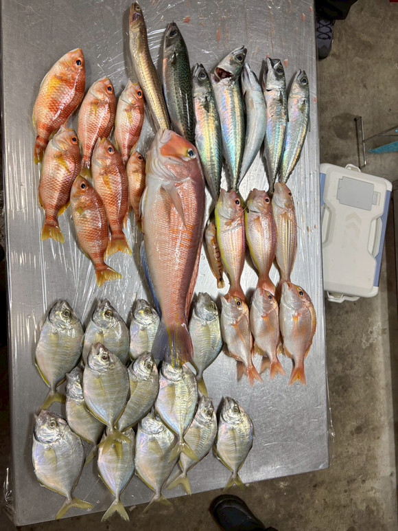釣果